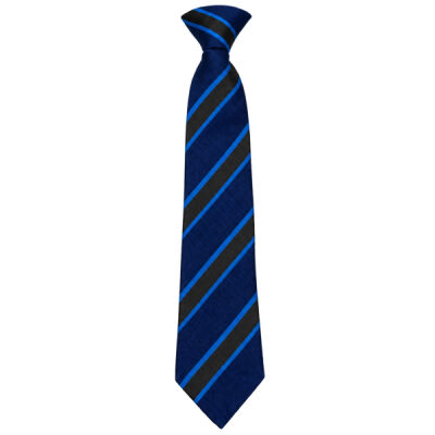 TDHS - School Tie Thumbnail